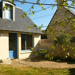 L'olivier Tréffiagat